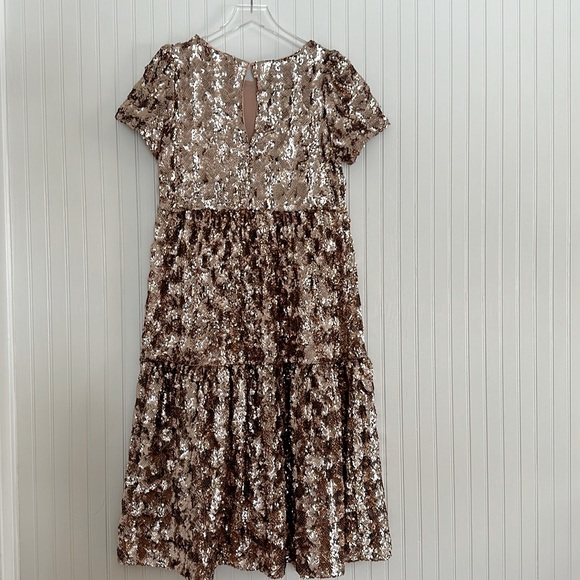 Anthropologie x Maeve Bernadette Sequin Midi Dress NWT - Picture 8 of 12
